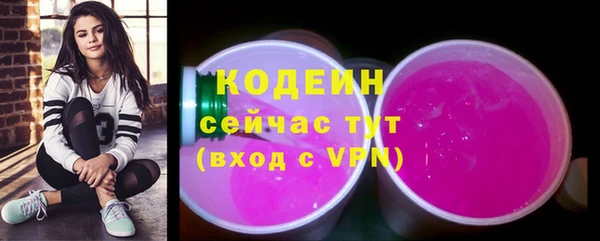 хмурый Арсеньев