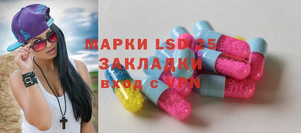 хмурый Арсеньев