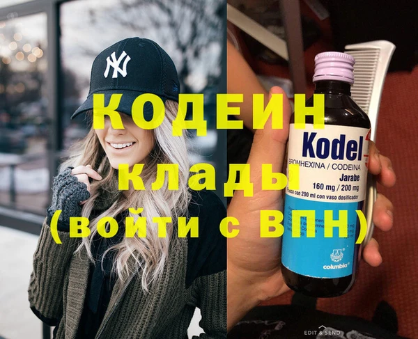 хмурый Арсеньев