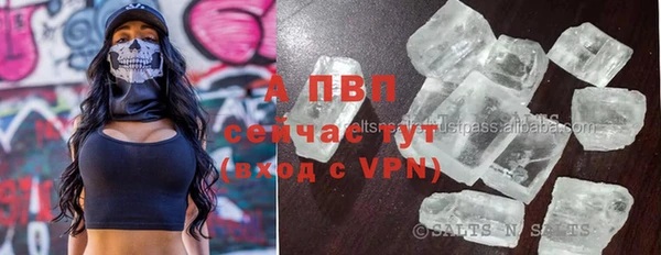 хмурый Арсеньев