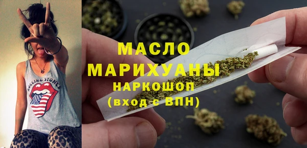 хмурый Арсеньев