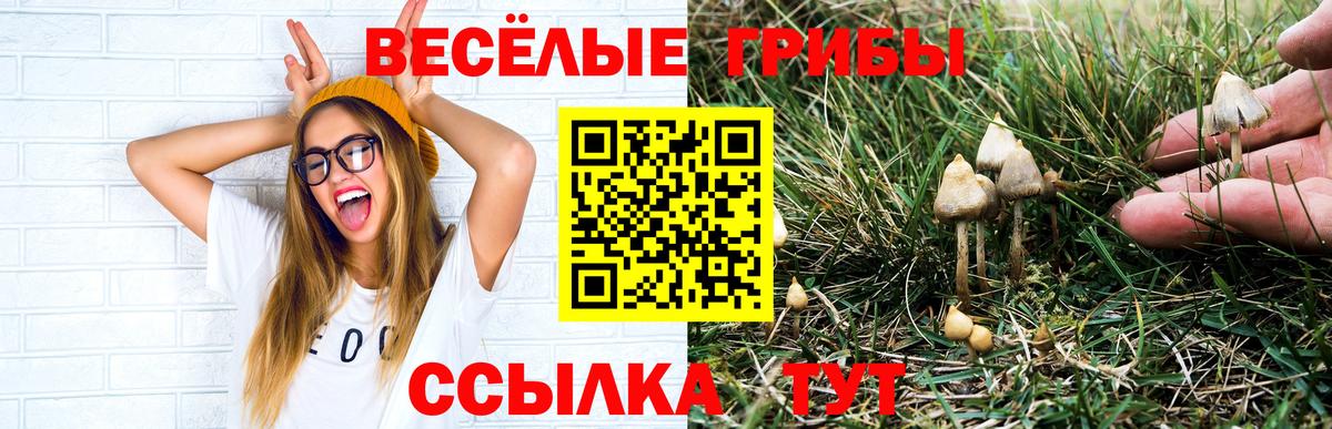 Псилоцибиновые грибы мухоморы  Вход с VPN  Чапаевск  цены   Галлюциногенные грибы мицелий 