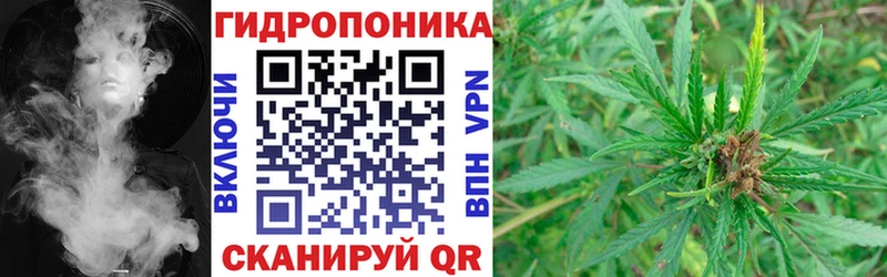 Конопля OG Kush  Чапаевск 